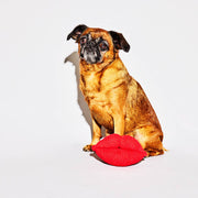 Valentine's Dog Toy - Kissing Lips Dog Toy - Eco-Friendly - Fair-Trade Handmade