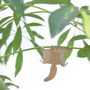 Plant Animals - brass animal decor for plants and plant lovers