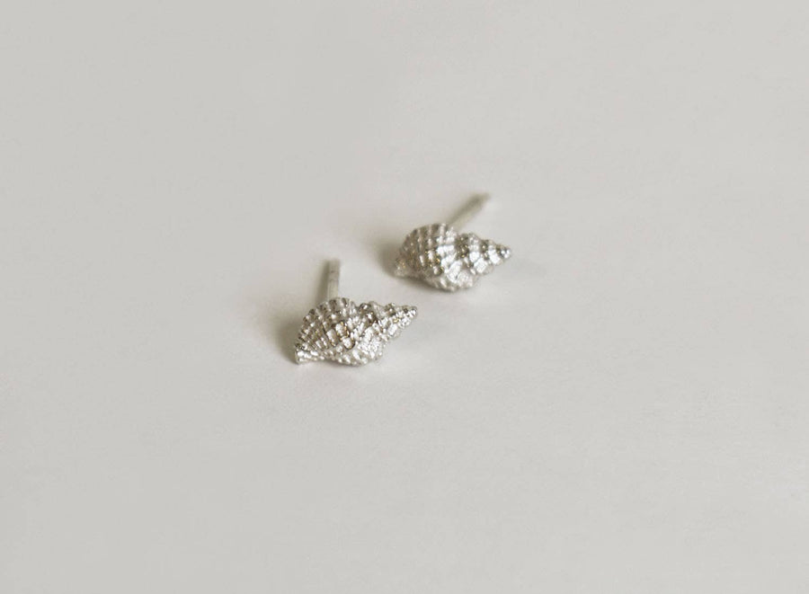 Baby Conch Studs