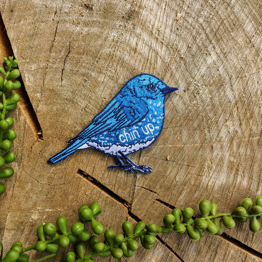 Patch | chin up bluebird