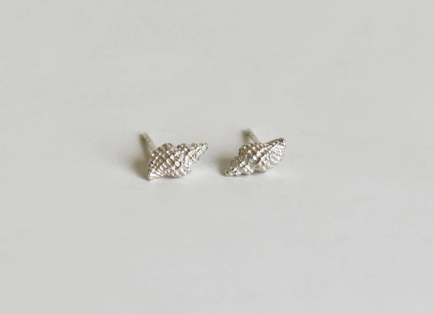 Baby Conch Studs