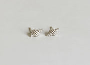Baby Conch Studs