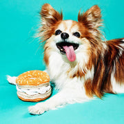 Bagel & Cream Cheese Dog Toy - Organic Cotton and Natural Dyes - Fair Trade Made